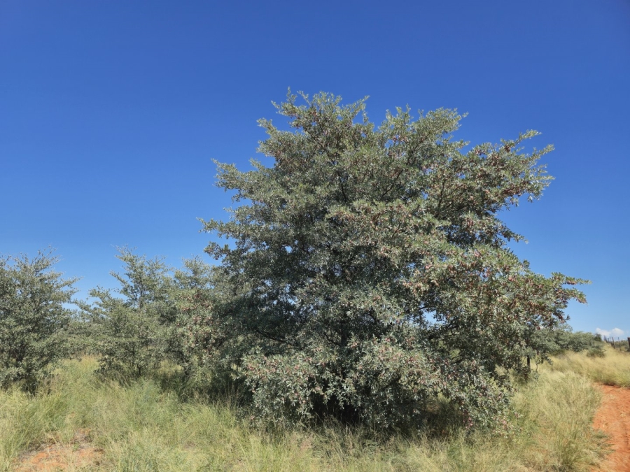 Commercial Property for Sale in Hotazel Rural Northern Cape